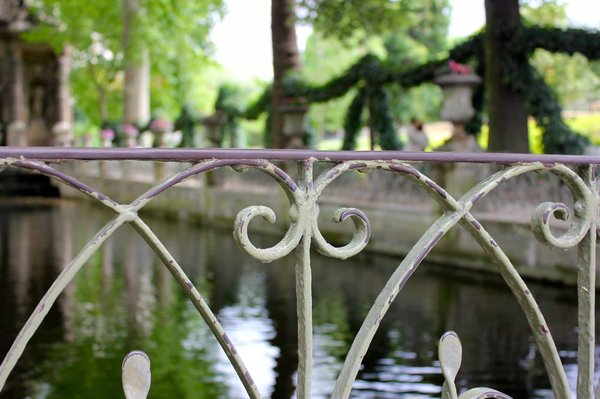Which gardens in Cornwall offer guided tours focused on rare plant species?